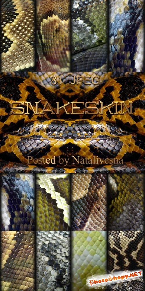 Текстуры для Дизайна – Змеиная кожа