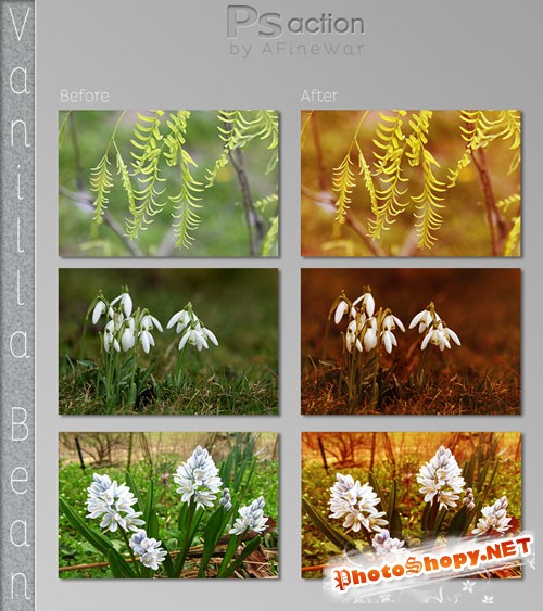 Vanilla Bean Photoshop Actions