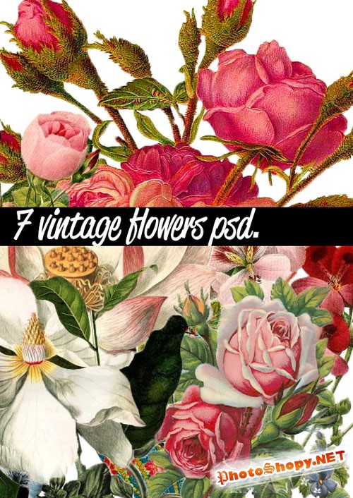 7 Vintage Flowers PSD Template
