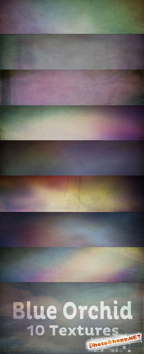Blue Orchid Textures