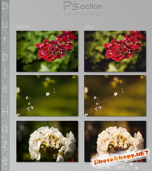 Purple Haze Photoshop Actions