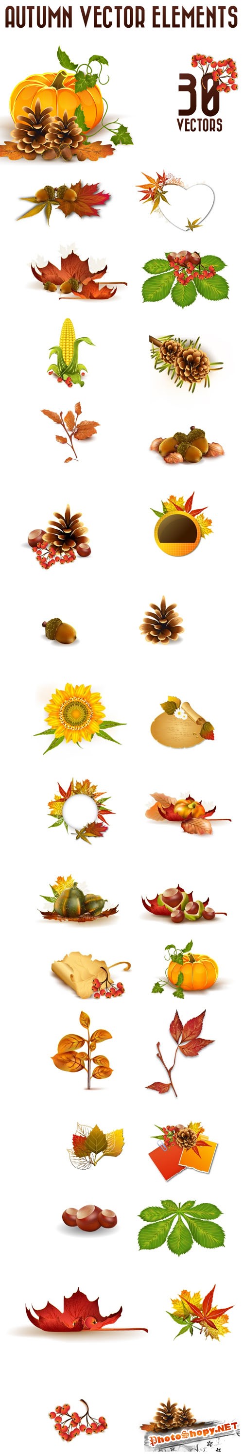 Designtnt - Vector Autumn Elements Set 1