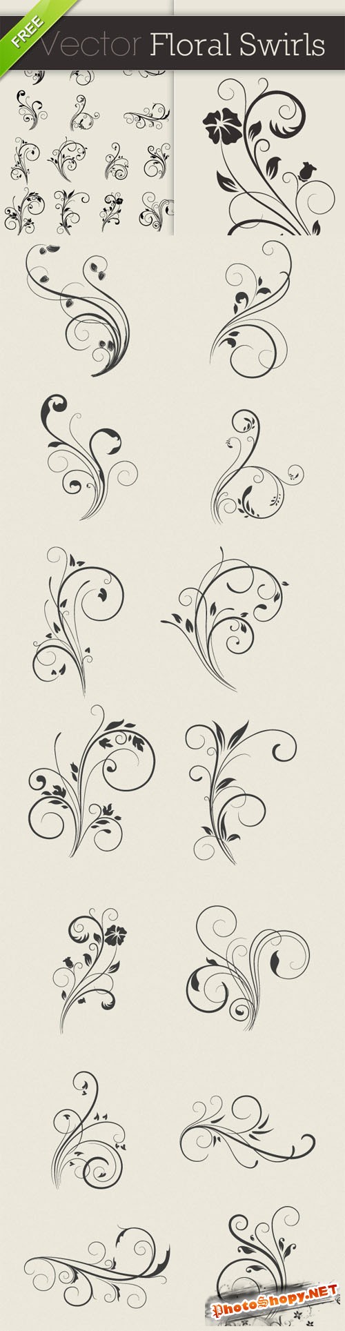 Designtnt - Vector Floral Swirls