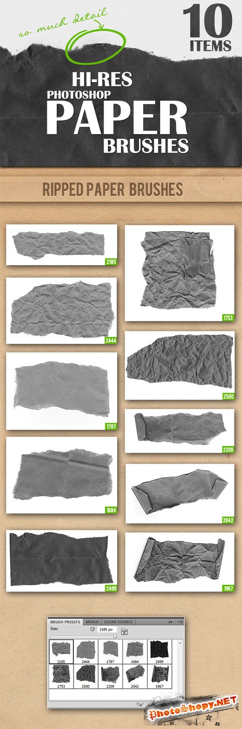 Designtnt - Ripped Paper Photoshop Brushes