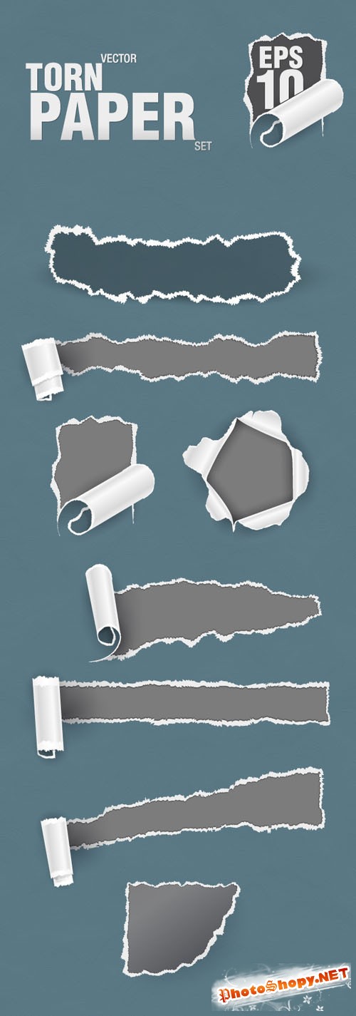 Designtnt - Vector Torn Paper