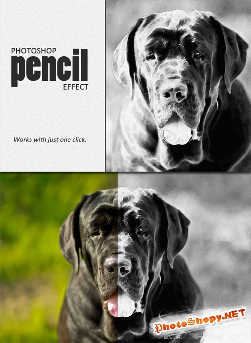 Designtnt - Photoshop Pencil Drawing Action