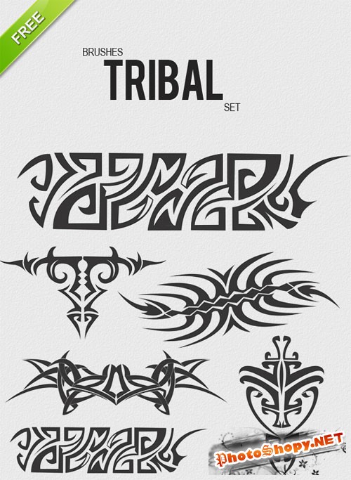 Designtnt - Brushes Tribal Set