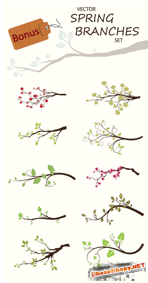 Designtnt - Spring Branches Photoshop Brushes