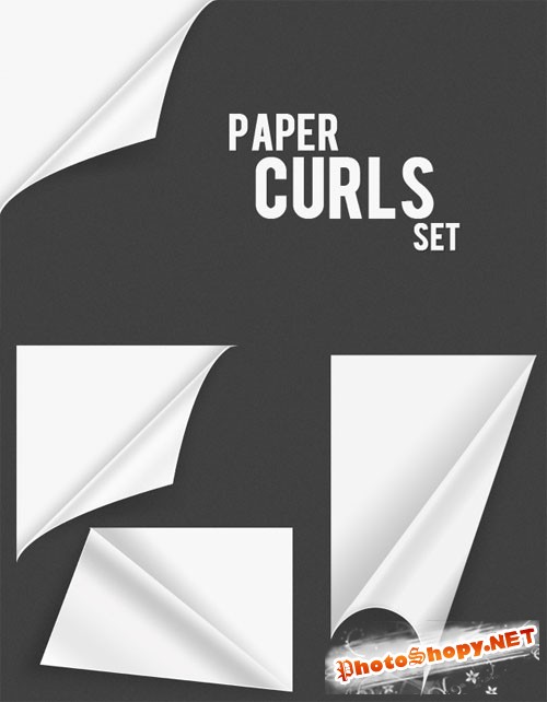 Designtnt - Paper Culrs