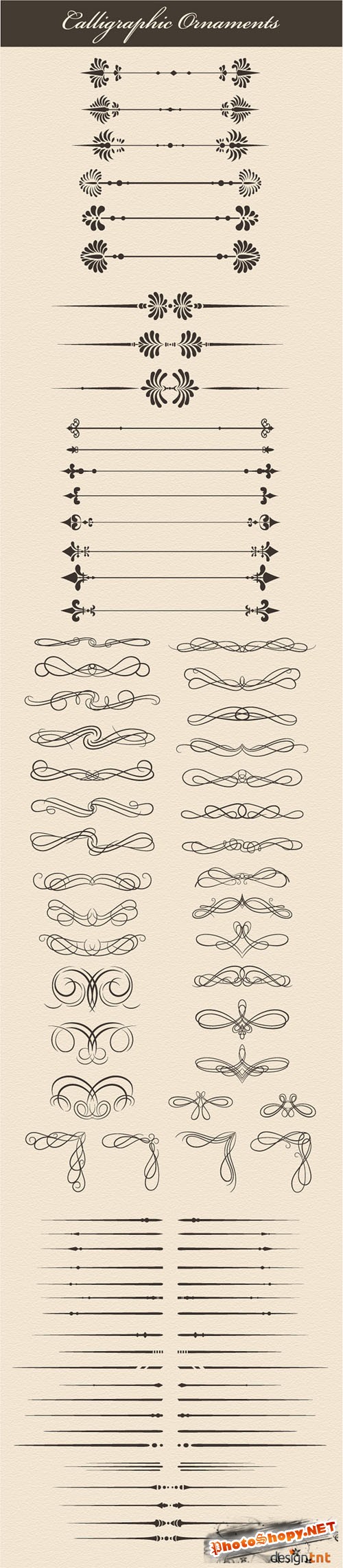 Designtnt - Vector Calligraphic Elements