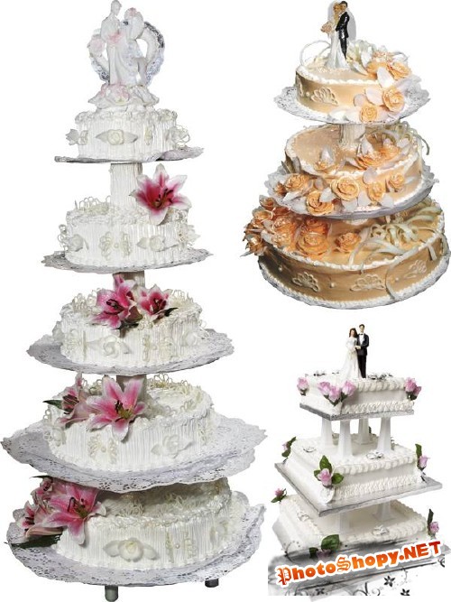 Фотосток: Свадебный торт (часть вторая)