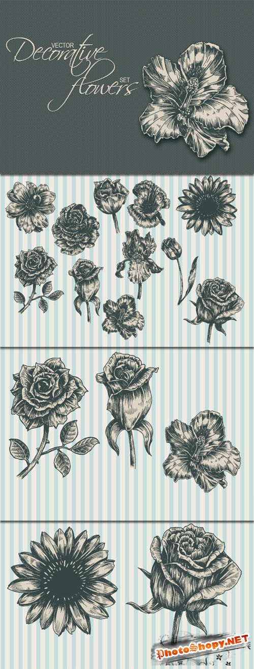 Designtnt - Decorative Flowers Vector Set 1