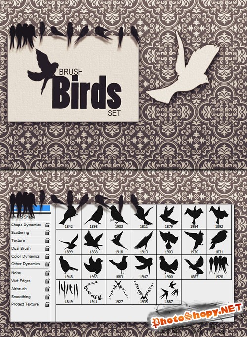 Designtnt - Birds PS Brushes
