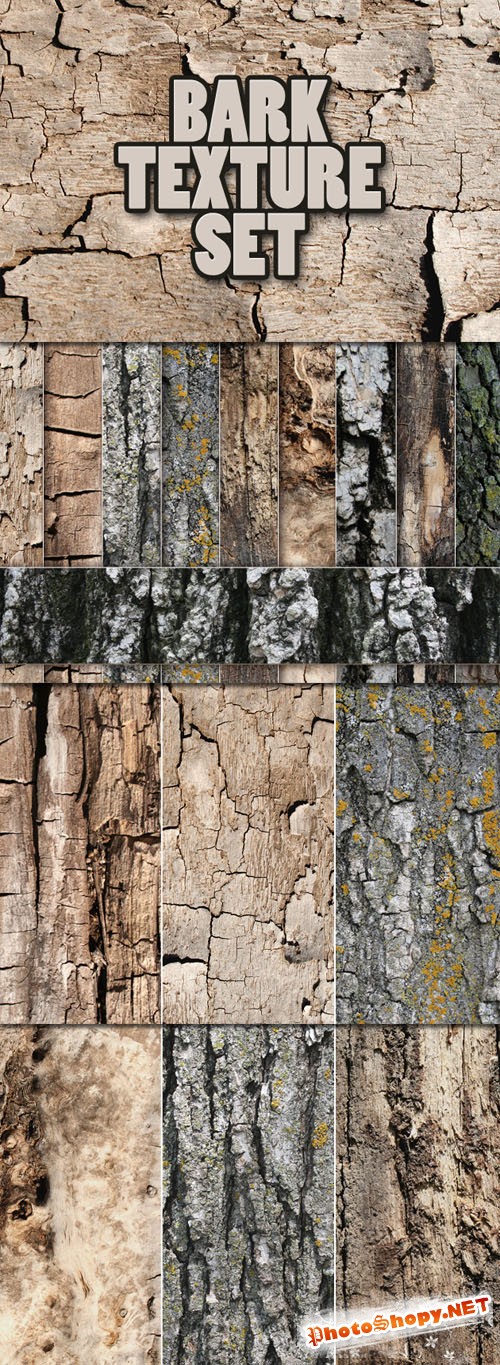 Designtnt - Bark Textures