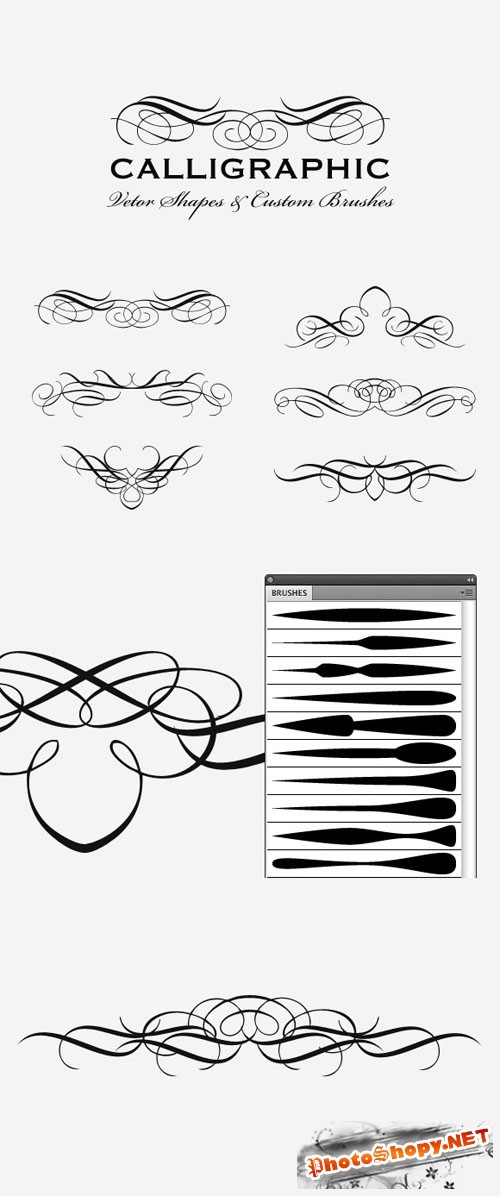 WeGraphics - Vector Calligraphic Multi-Pack