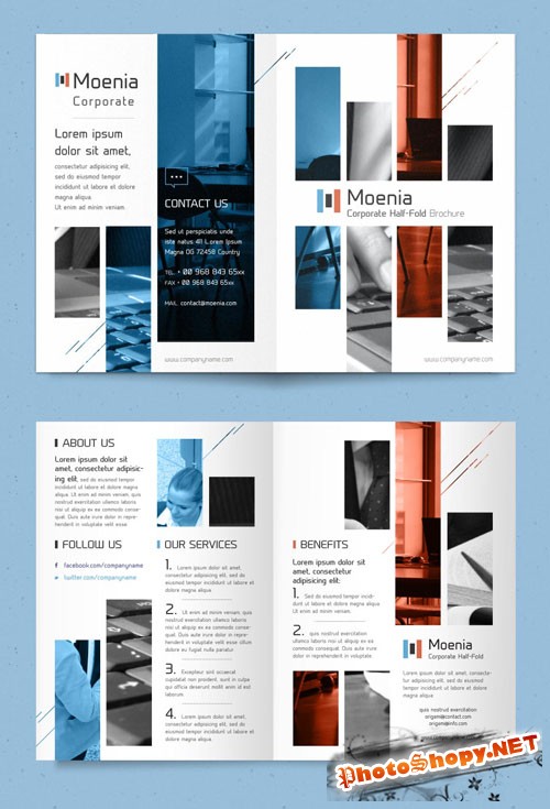 Pixeden - Moenia Bi Fold Brochure Template