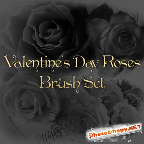Valentine's Day Roses Photoshop Brushes