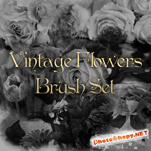 Vintage Flowers Photoshop Brushes