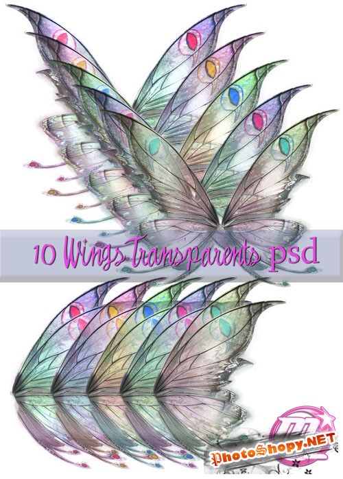 10 Wings Transparents PSD Template