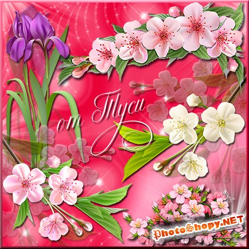 Клипарт - Весенние цветы прелестны и нежны