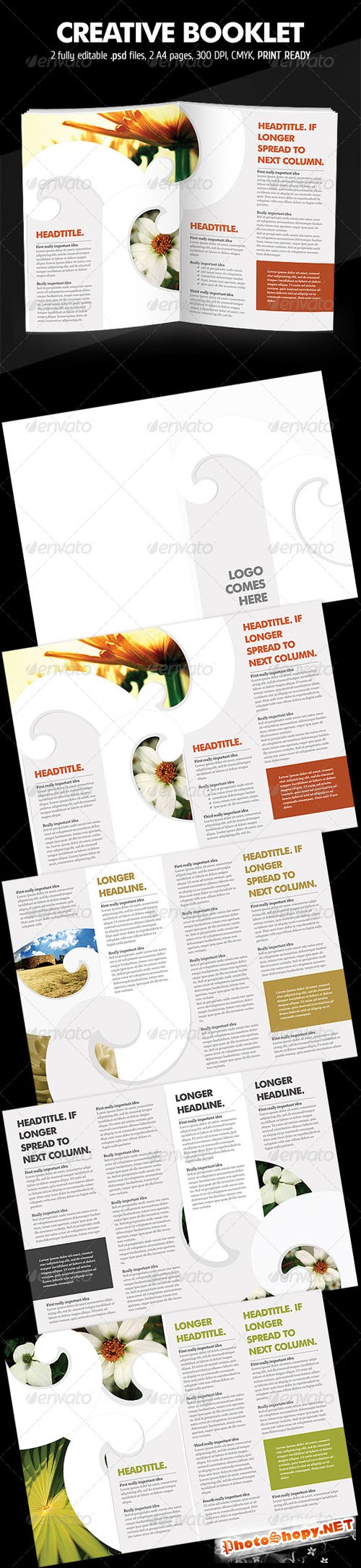 GraphicRiver - Curly Brochure 202449