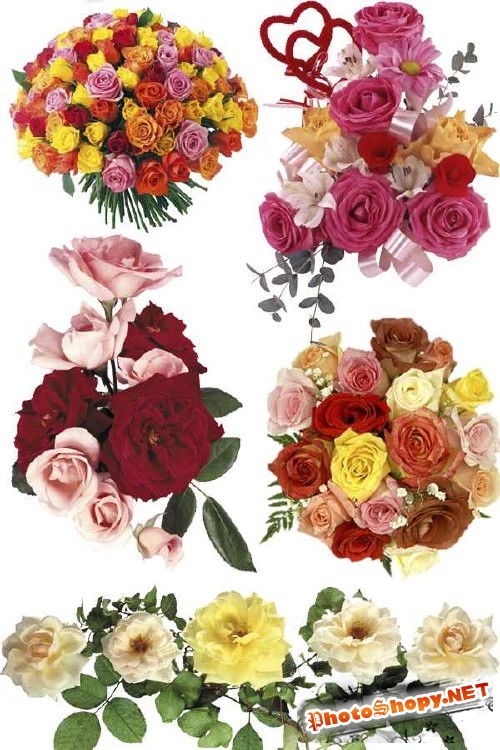 Розы - букеты и икебаны (фотосток часть первая)