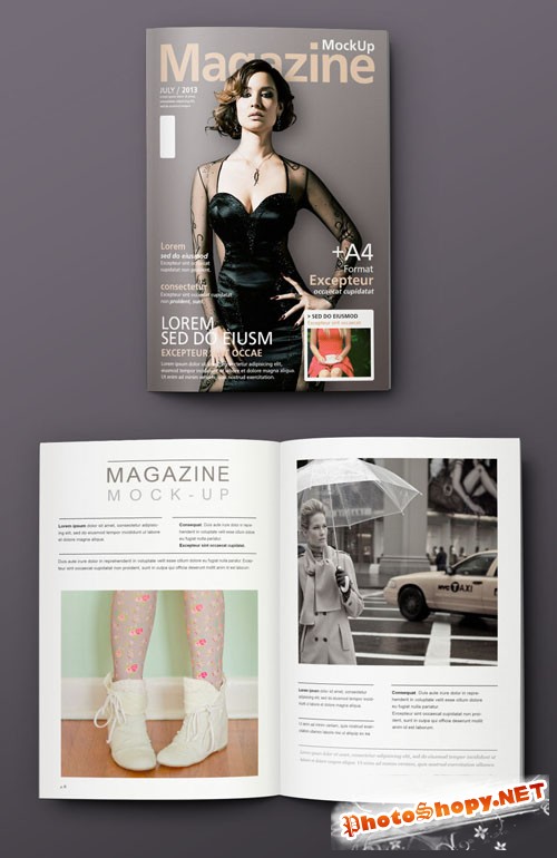 Pixeden - Overhead View Magazine Mockup