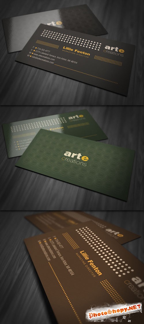 Simply Professional Business Card PSD Template