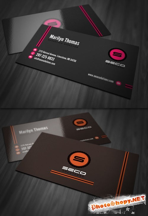 Professional Business Card PSD Template