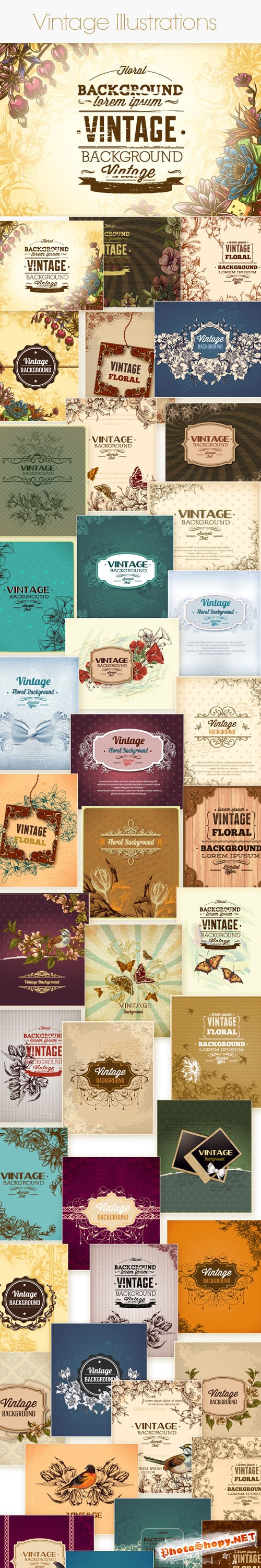 50 Vintage Floral Vector Illustrations