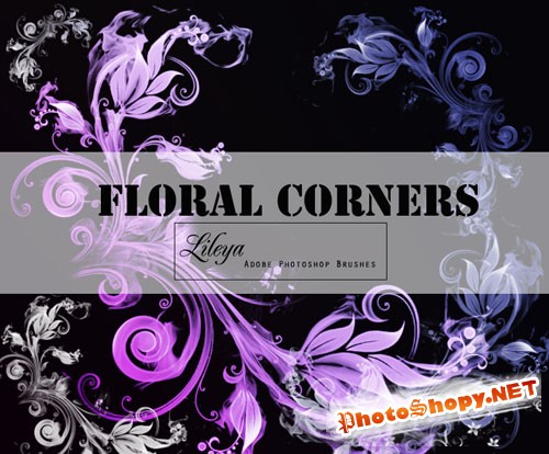 Floral Corners Photoshop Brushes