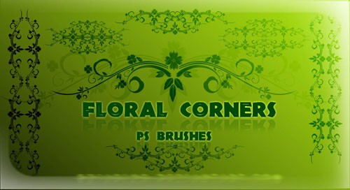 Floral Corners Photoshop Brushes