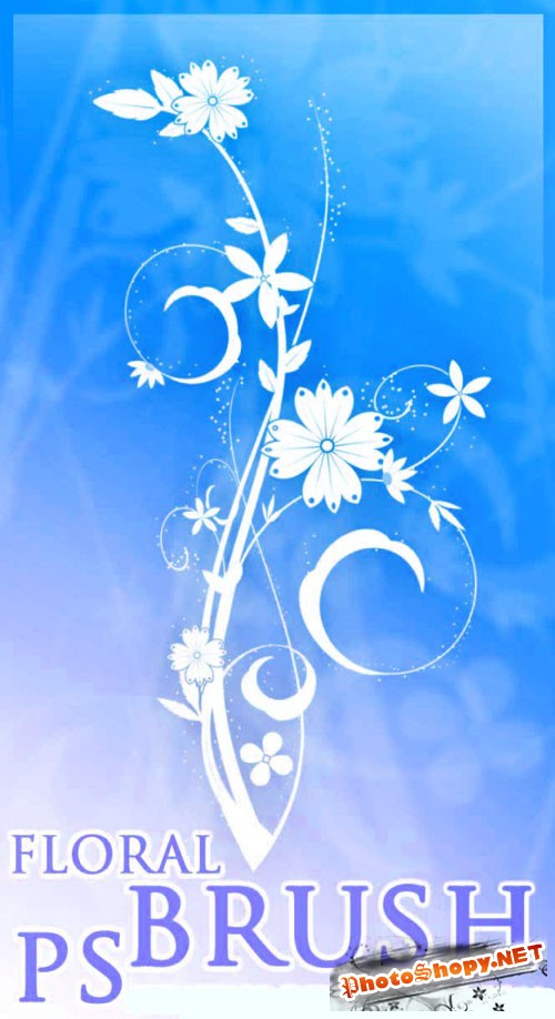 Floral Photoshop Brushes