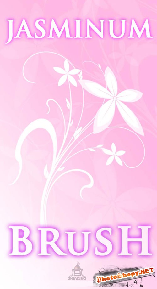 Jasminum Photoshop Brushes