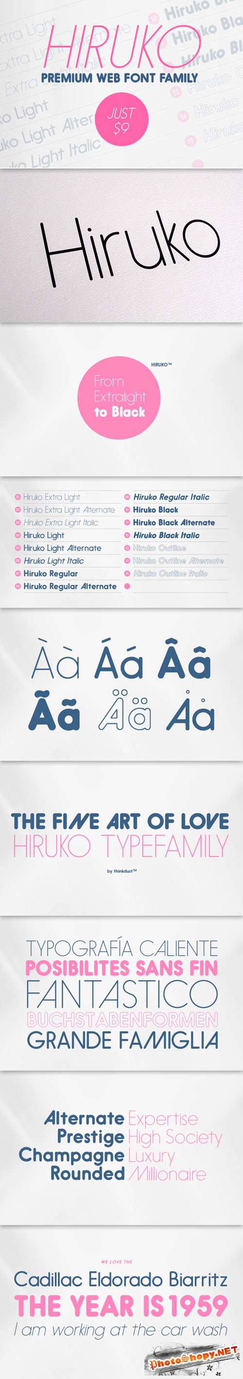 Hiruko Premium Web Font Family for Just $9 (regular $300)