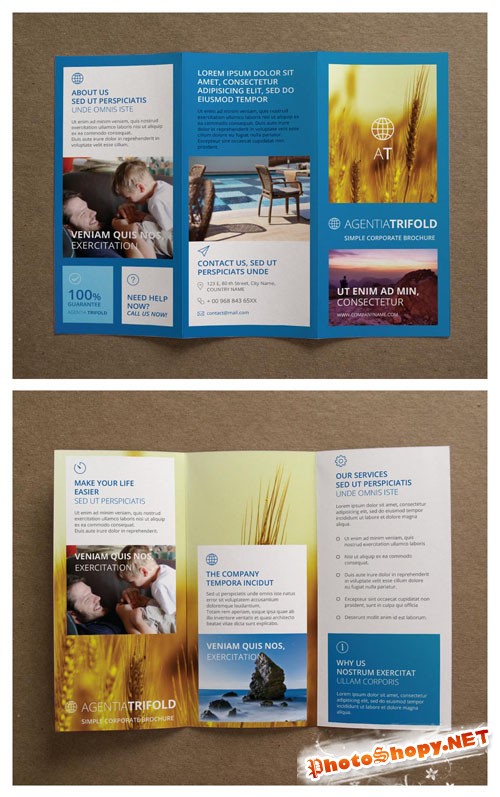 Pixeden - Agentia Tri Fold Brochure Template