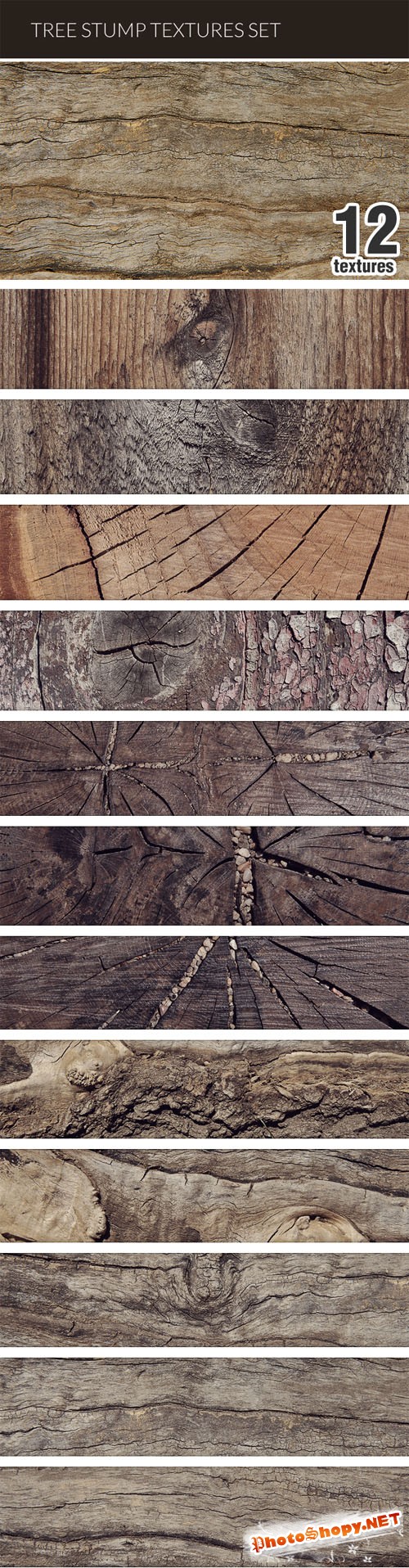 Designtnt - Tree Stump Textures Set 1