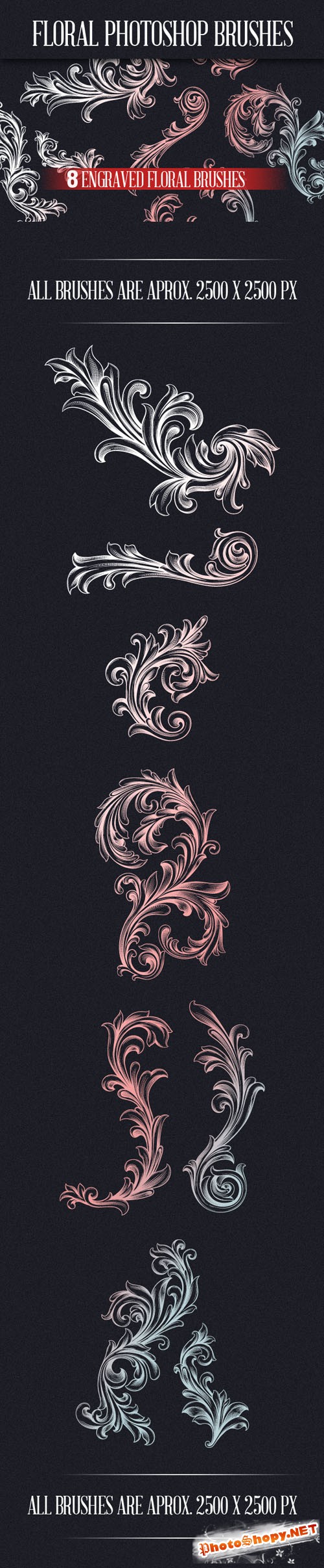 Designtnt - Engraved Floral Photoshop Brushes