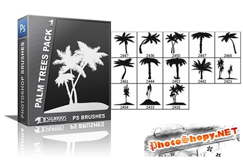 13 Palm Trees Photoshop Brushes Pack 1