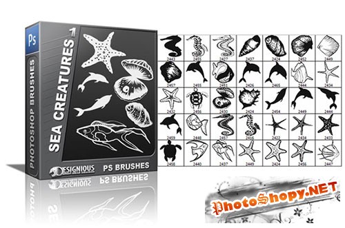 35 Sea Creatures Photoshop Brushes Pack 1
