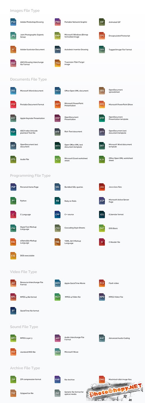 File Type Icons Set